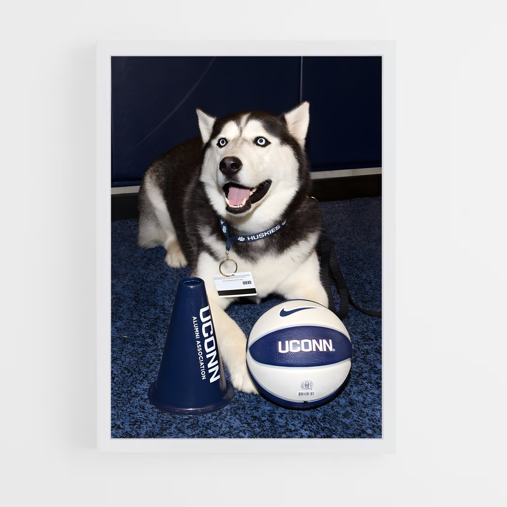Poster Husky Touchdown – affiche Basketball (vue 3)